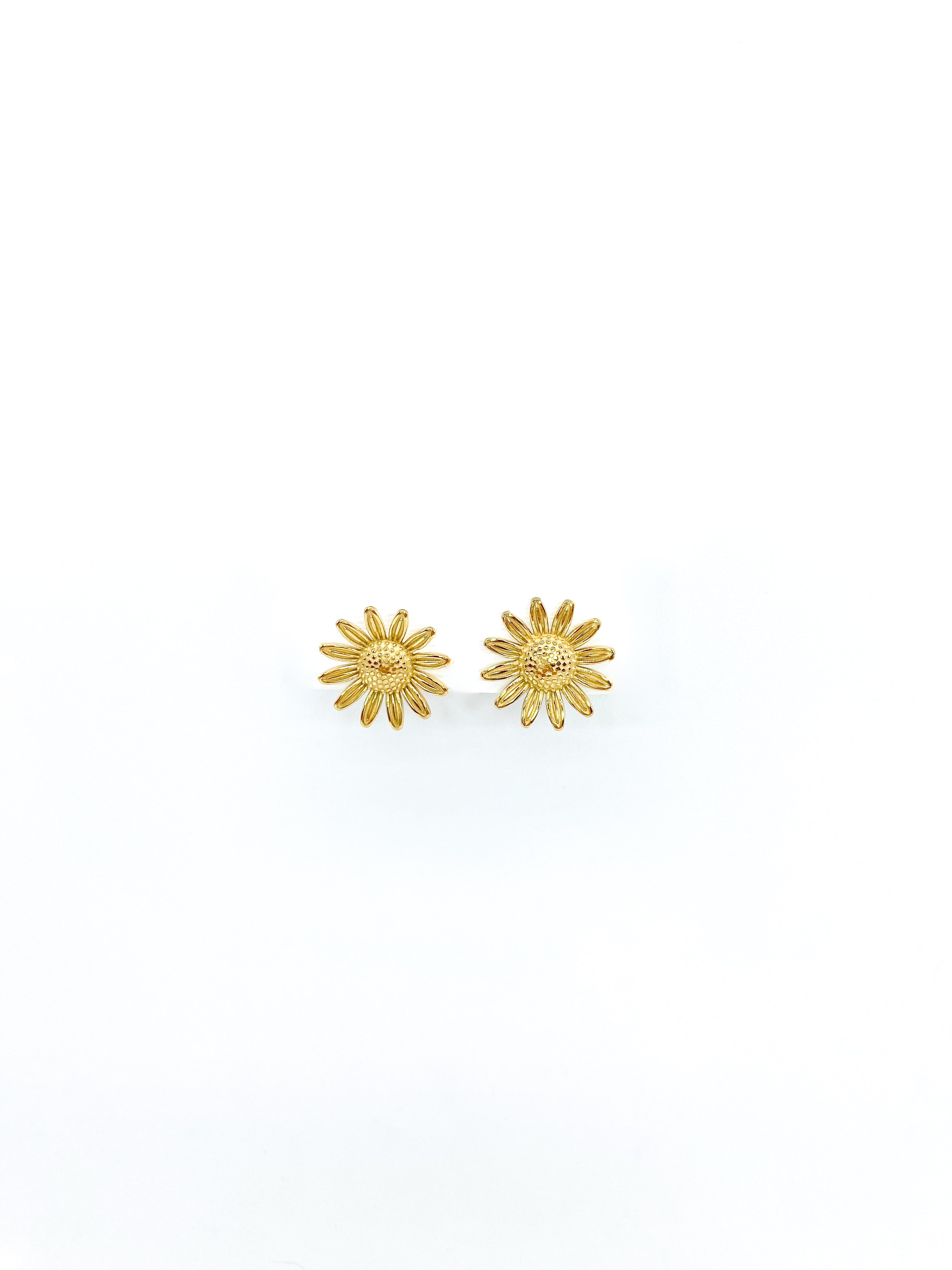 Aretes Modesta